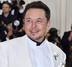 Elon Musk Wiki, Biography