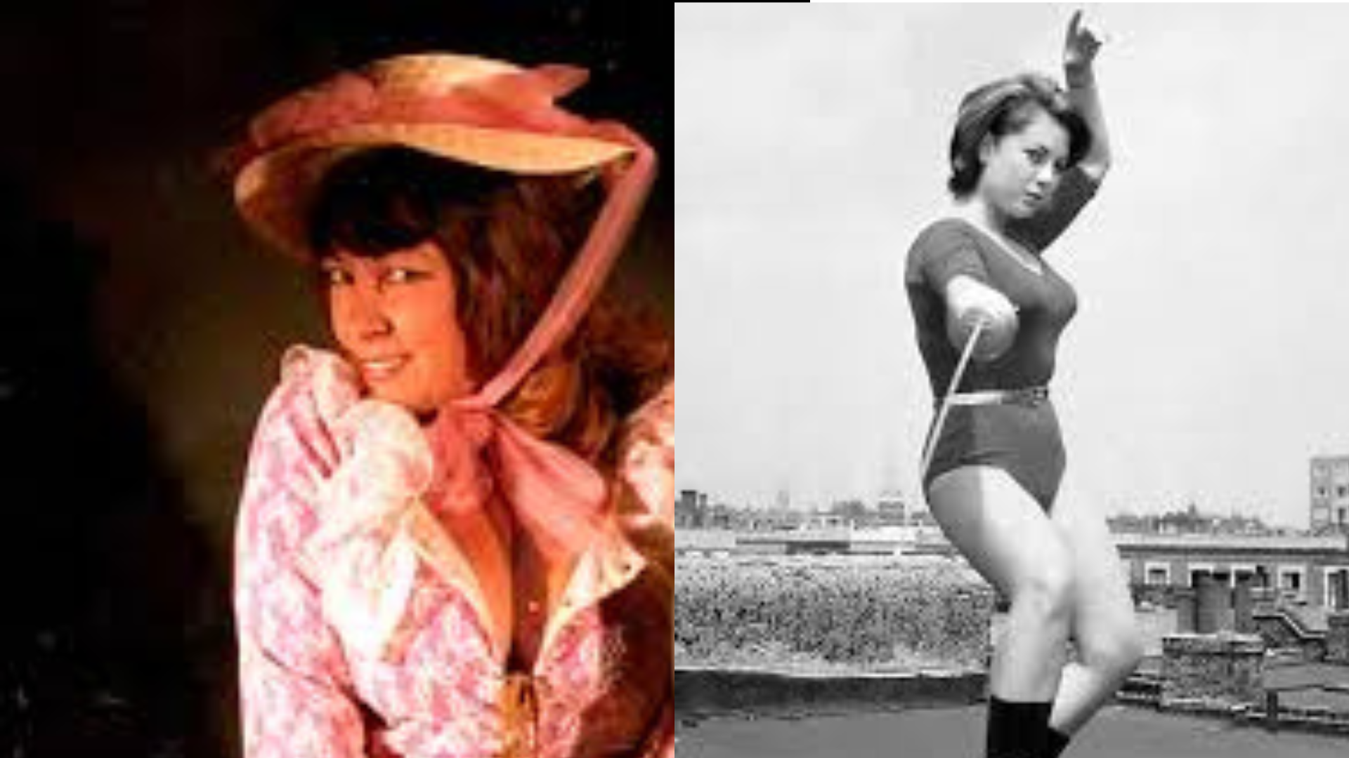 June Palmer Biography