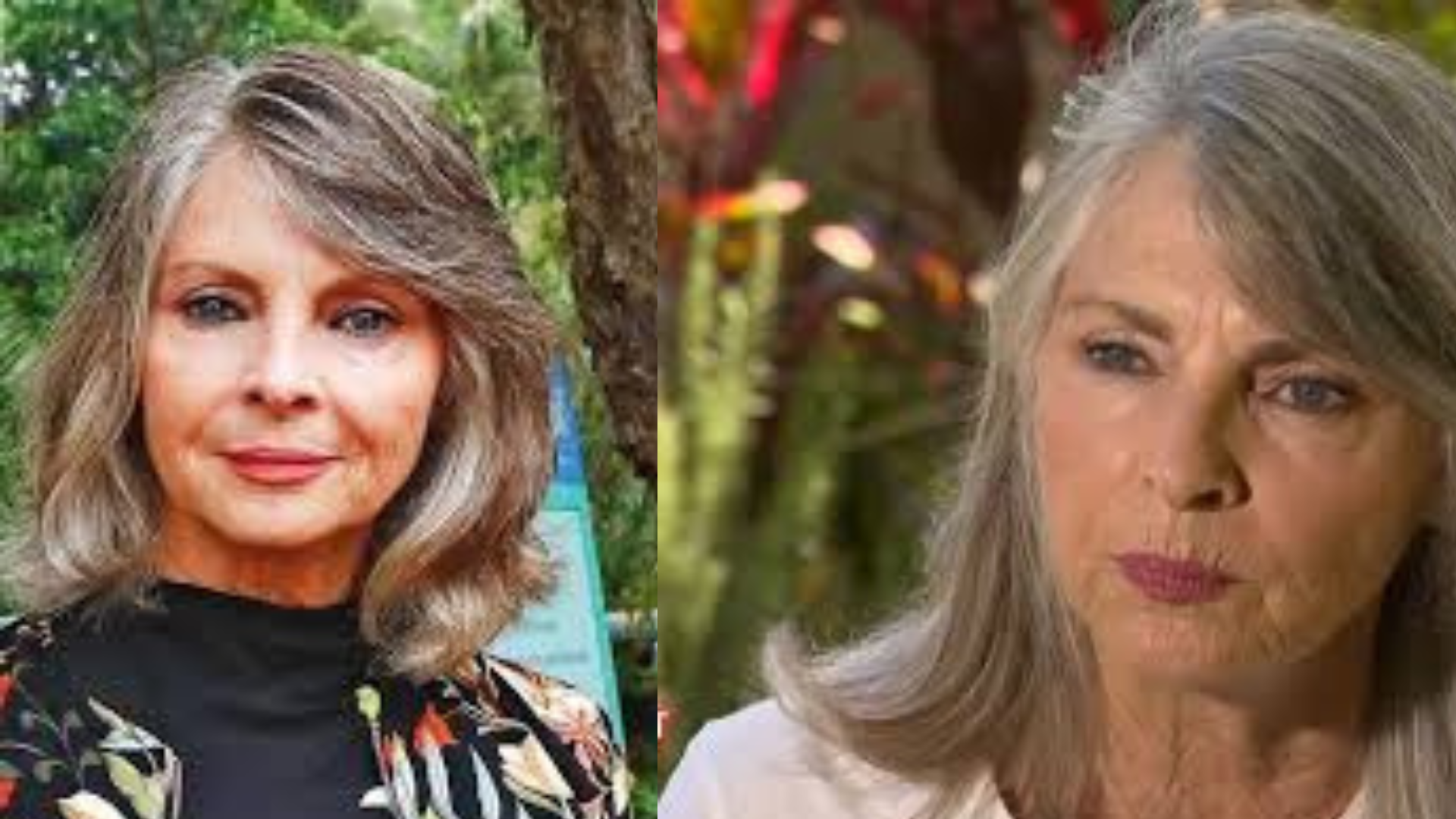 Delvene Delaney net worth, Age, Husband, Salary, Height, Weight